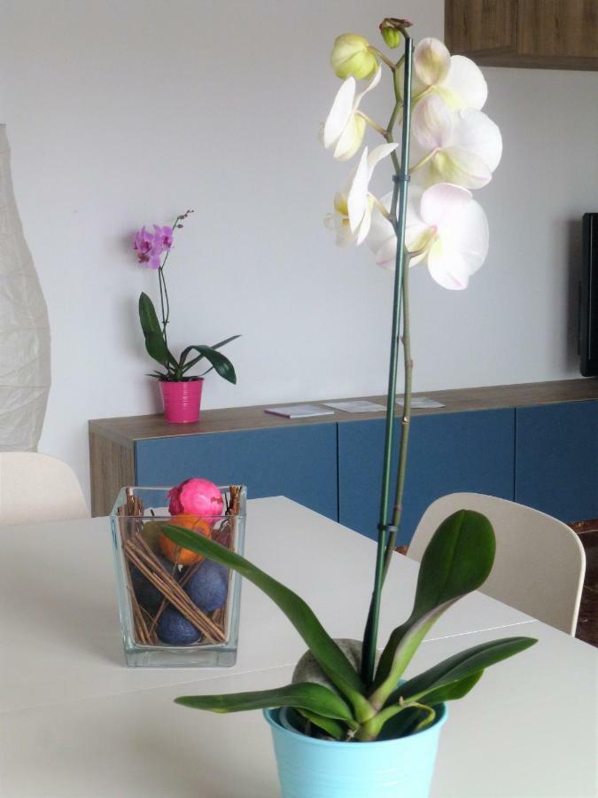 אסטפונה Apartamento Centrico Y Luminoso מראה חיצוני תמונה